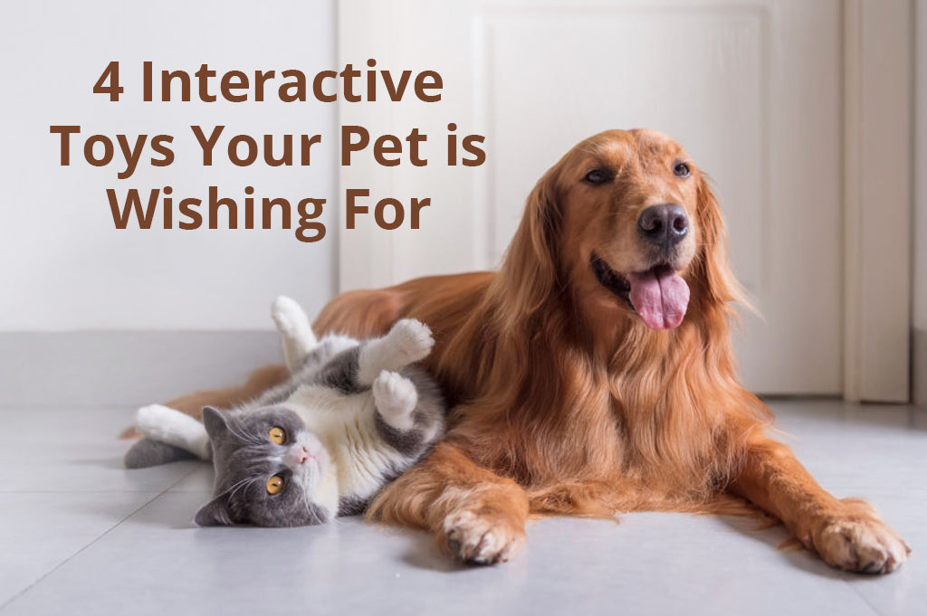 Pet Chew Smart Interactive Toys for Dogs and Cats App Control Pet