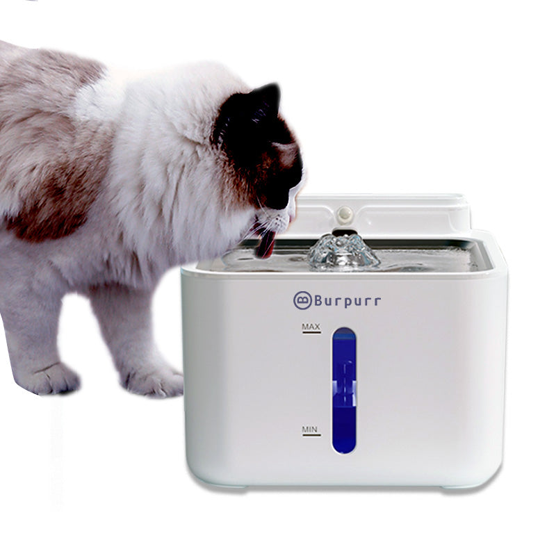 Electric sale pet fountain