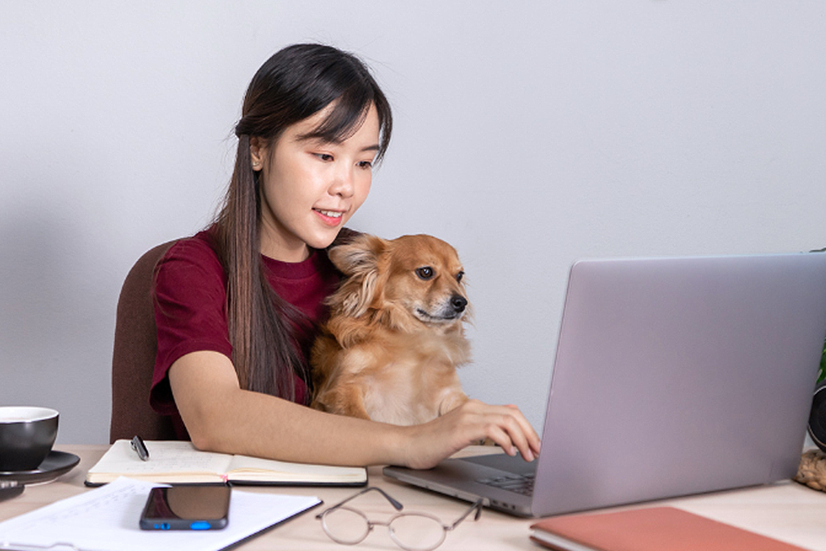 Revolutionizing Pet Ownership: How Pet Tech is Transforming Pet Ownership in Singapore