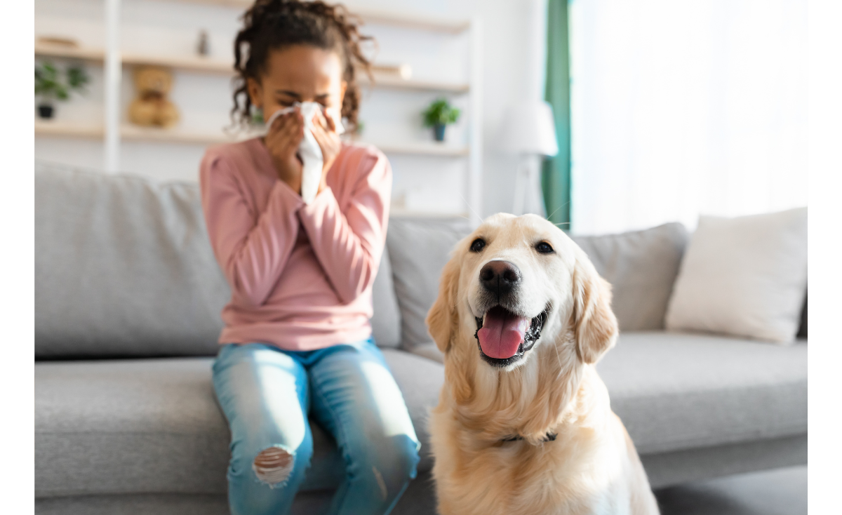 Managing Pet Allergies: What to Do If You’re Allergic to Your Cat or Dog & Tips For Singaporean Pet Owners