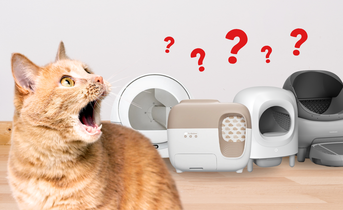 The Truth Behind The Myths: Automatic Cat Litter Boxes Myths vs. Reality in Singapore