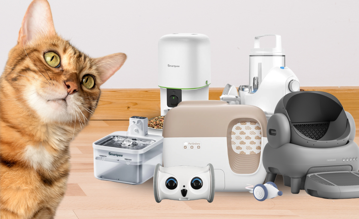 Adopting a Tech-Savvy Cat Care Routine: Beginner-Friendly Tips for Cat Owners in Singapore