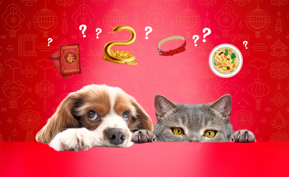 8 Fascinating Chinese New Year 2025 Pet Facts You Didn’t Know in Singapore