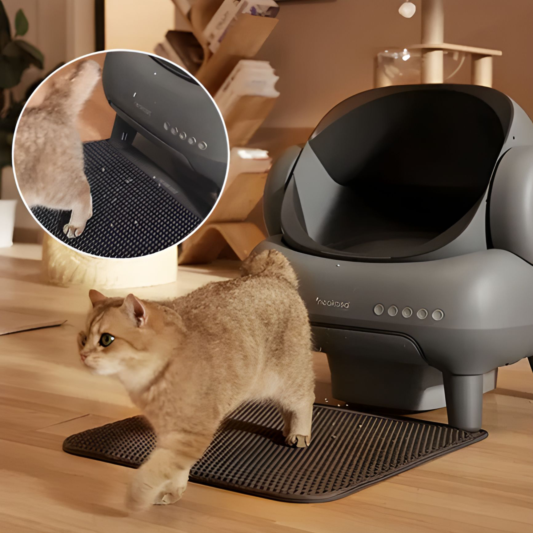 Neakasa M1 Open-Top Self-Cleaning Automatic Cat Litter Box