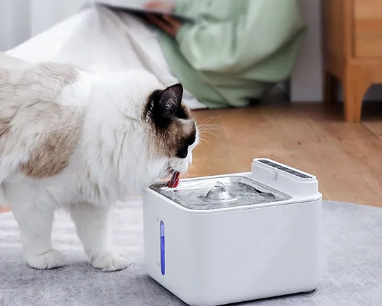 Motion activated pet clearance fountain