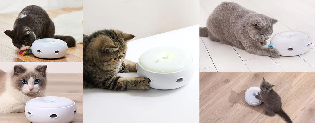 Cat 2024 smart toy