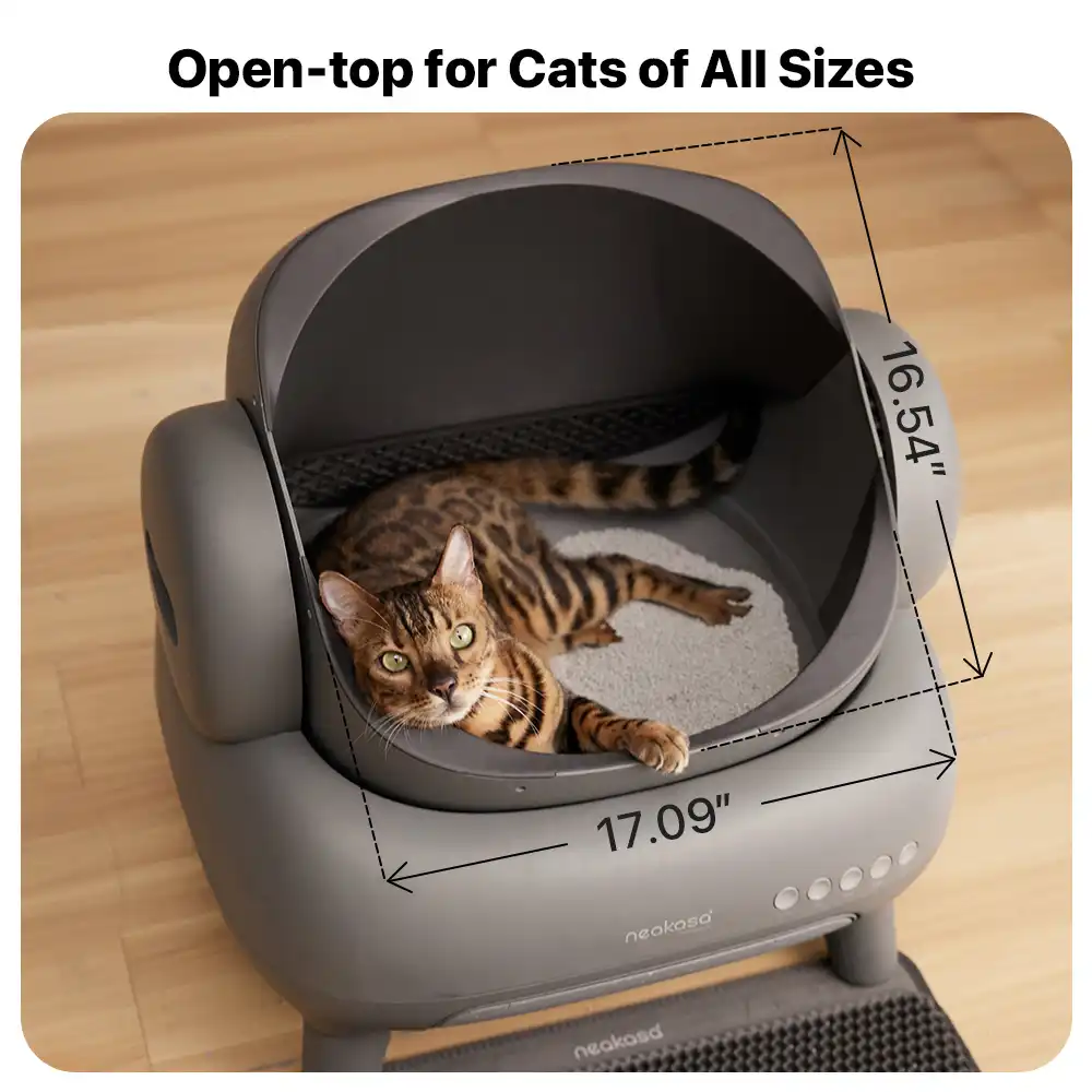 Neakasa M1 Open-Top Self-Cleaning Automatic Cat Litter Box
