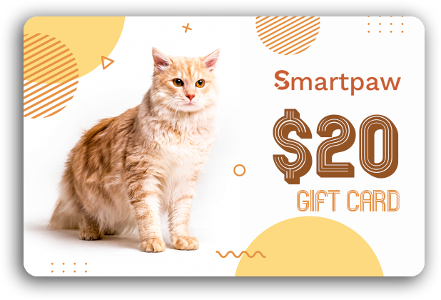 Gift Card - Whisker Wishes