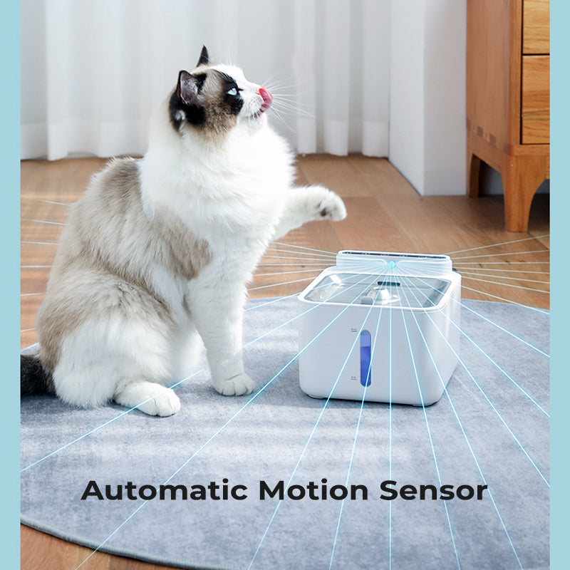 Motion sensor clearance pet water fountain